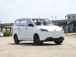 
										Wuling Hongguang EV 300 km (version export) full									