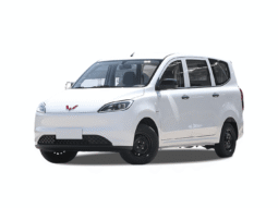 
										Wuling Hongguang EV 300 km (version export) full									