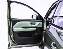 
										Wuling Binguo 2024 full									