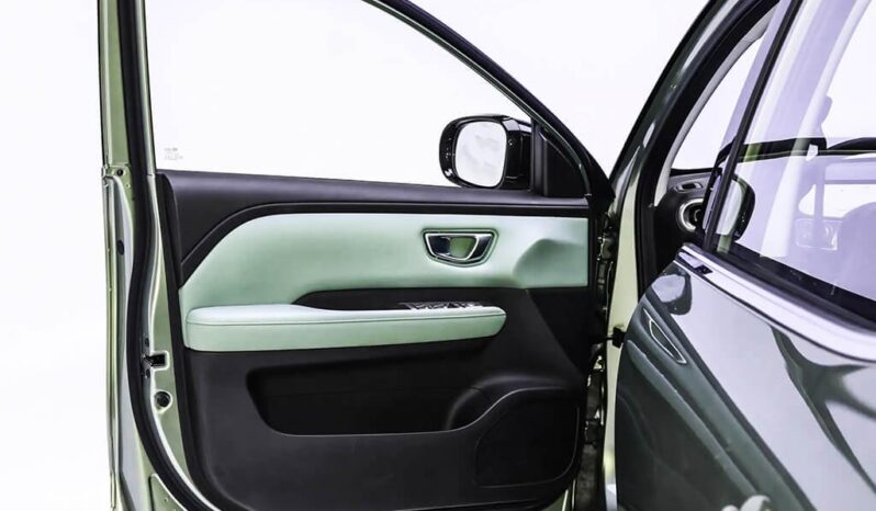
								Wuling Binguo 2024 full									