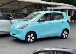 Wuling Hongguang MINIEV 2025